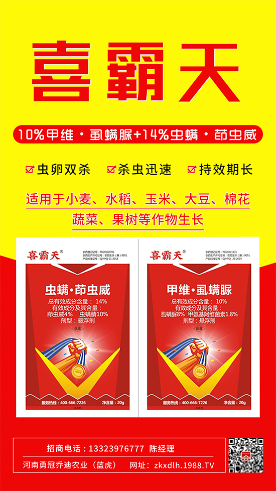 小菜蛾、菜青蟲危害重太難打？這樣用藥！一打一個(gè)準(zhǔn)!