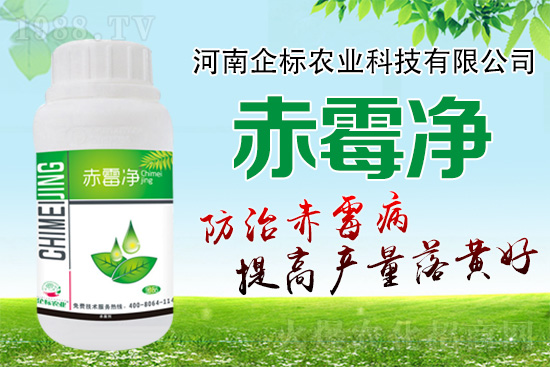 緊急提醒:未來十天是小麥赤霉病防治關(guān)鍵期!務(wù)必抓??!