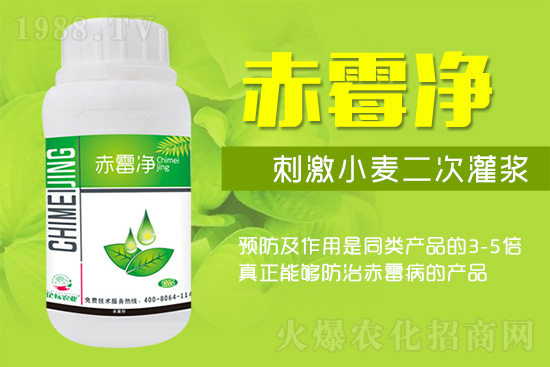 緊急提醒:未來十天是小麥赤霉病防治關(guān)鍵期!務(wù)必抓??!