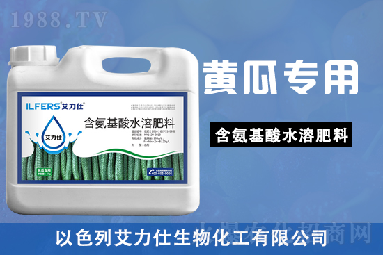 黃瓜苗期，該如何做好管理要點(diǎn)？