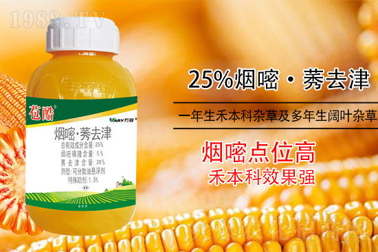 玉米除草，別用這幾種除草劑！