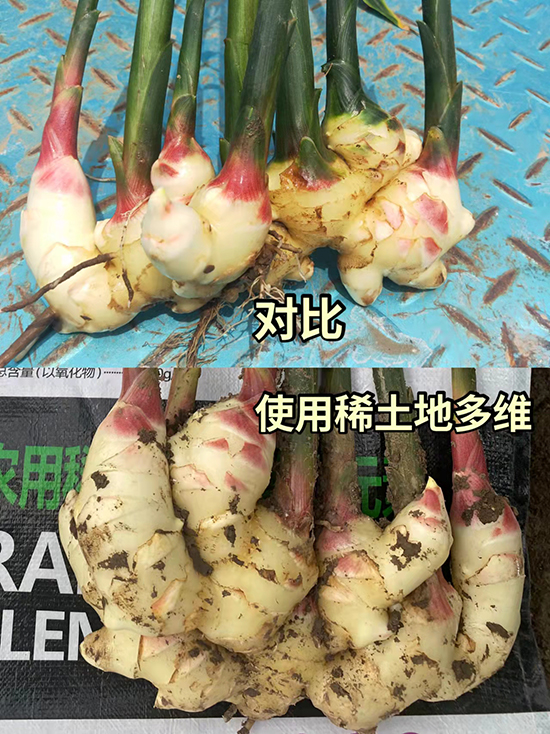 ΢�ňDƬ_20220520080028