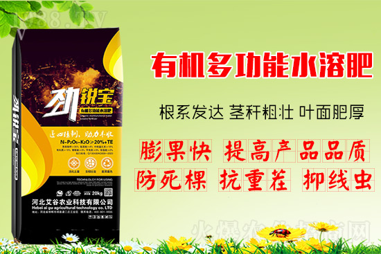 果樹(shù)花后追肥很關(guān)鍵,忌單施尿素,水溶肥補(bǔ)充營(yíng)養(yǎng)更全面!