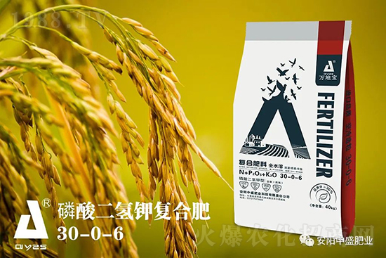 水稻分蘗不好對產(chǎn)量有多大影響？促進(jìn)水稻分蘗怎么做？