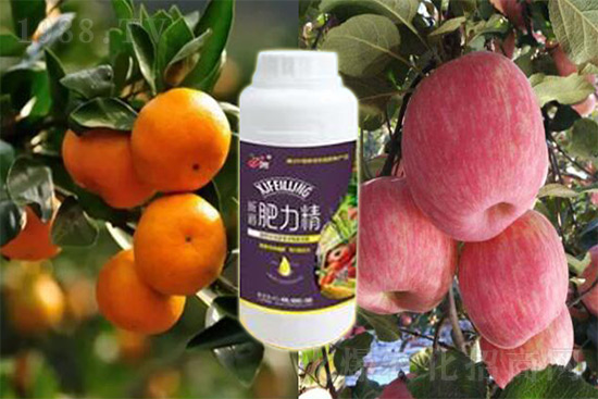 玉米追肥復合肥好還是尿素好?很多人都錯了!它才是正確選擇