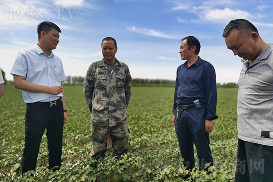 中農(nóng)化新疆北疆辦事處負(fù)責(zé)人:同路同行共發(fā)展