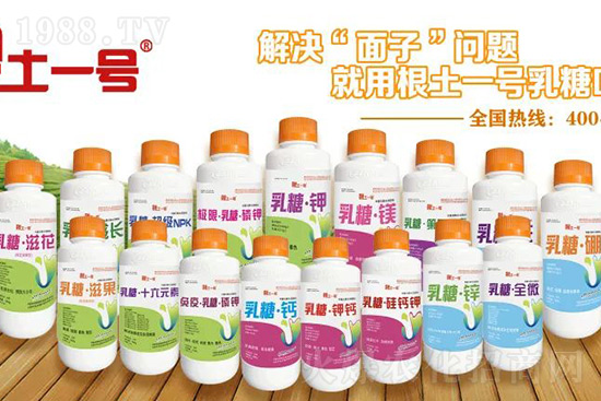 7月份獼猴桃進(jìn)入二次膨大期、轉(zhuǎn)糖期,這5個管理要點不得不看!