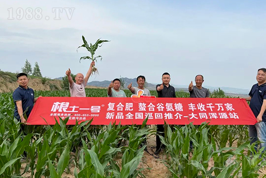 渾源玉米頂呱呱，營(yíng)養(yǎng)補(bǔ)充全靠它
