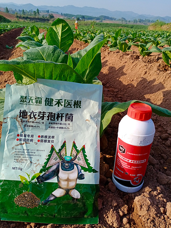 健禾醫(yī)根地衣芽孢桿菌-聚無(wú)霸2