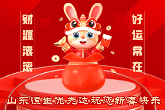 山東恒生優(yōu)先達