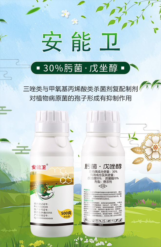 山東恒生優(yōu)先達植物保護有限公司14