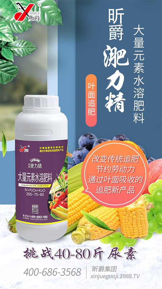 昕爵集團(tuán)87