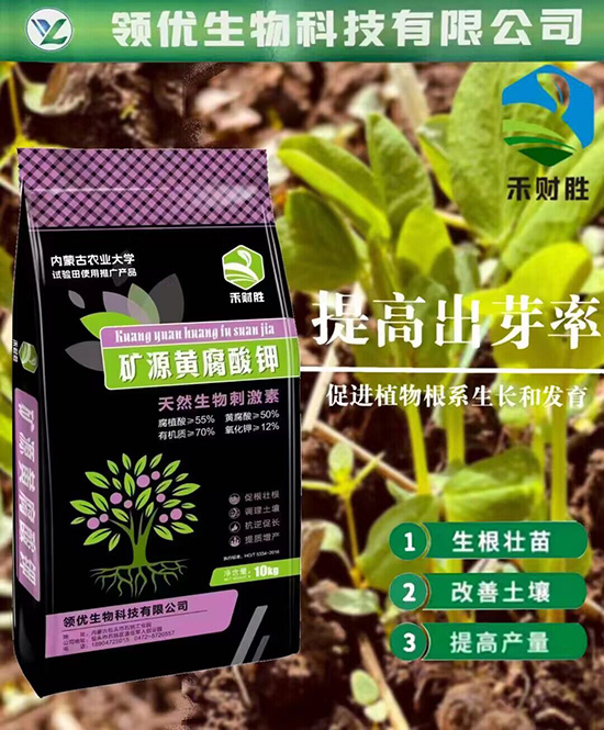 QQ�DƬ20230721172603