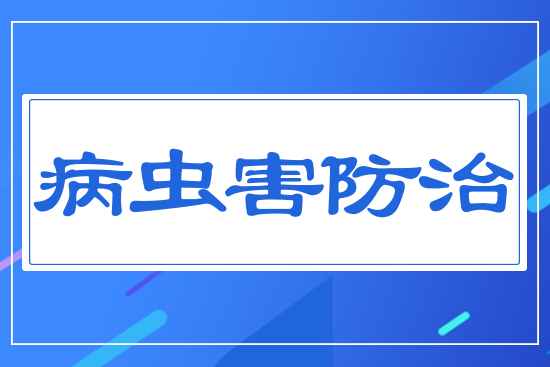 病蟲(chóng)害防治