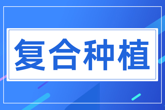 復合種植