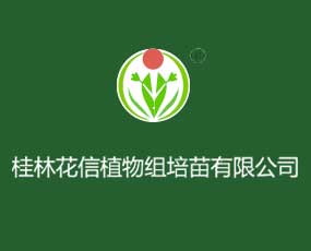 桂林花信植物化工有限責任公司