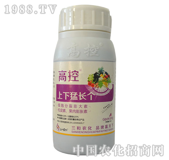 �߿�-�������L(zh��ng)��(g��)-�����r(n��ng)��