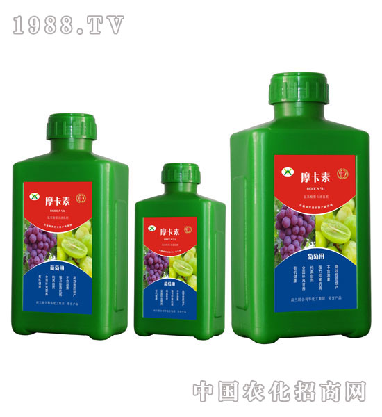 ���ь��ð���������Һ�ķ�-Ħ����-��(qi��ng)о���H