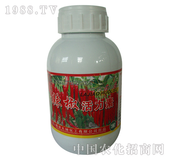 ����������-�W��˹