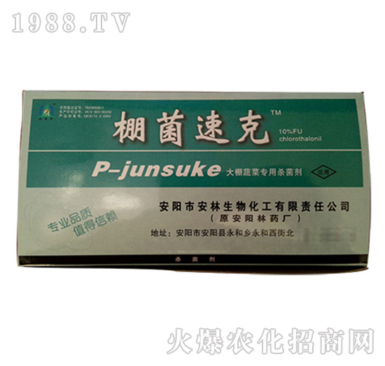 �����߲ˌ��Ú�����-����ٿ�-����