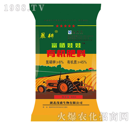 ��������-����-ïʢ