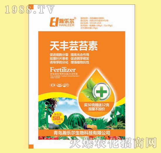 ���S��̦��-嫘���