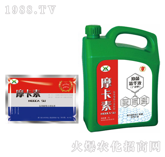 �V�V���־����AҺ���ؼӴ���-Ħ����-��о���H