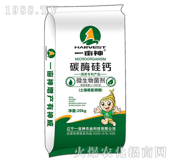 ̼ø���}΢�������-һ����