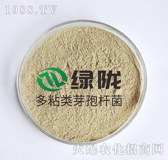多粘芽孢桿菌-綠隴生物