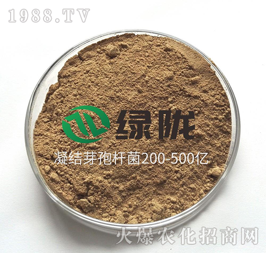 凝結(jié)芽孢桿菌-綠隴生物