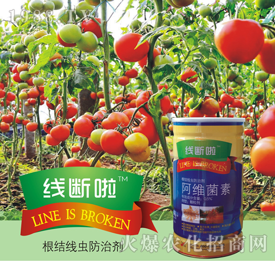 0.5%���S����-������-꿾�