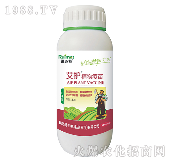 ���o(h��)ֲ�����磨�V�V�ͣ�-�J�~��