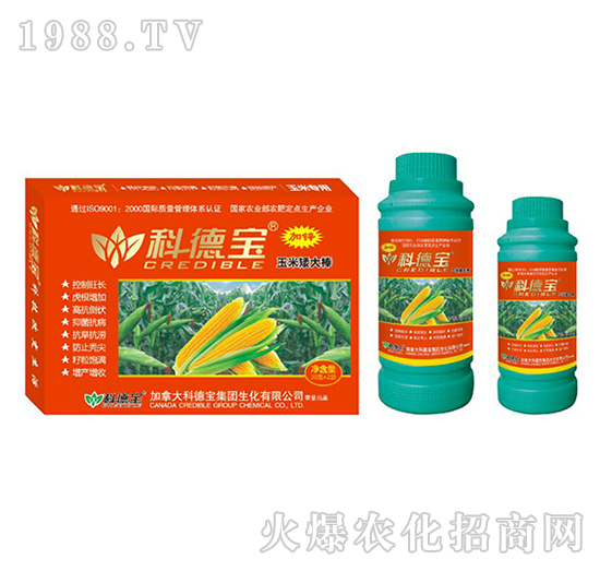 玉米專用營(yíng)養(yǎng)增產(chǎn)化控劑-玉米矮大棒-科德寶