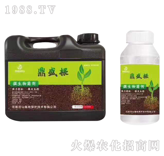 強力生根劑-鼎盛根-鼎盛河山