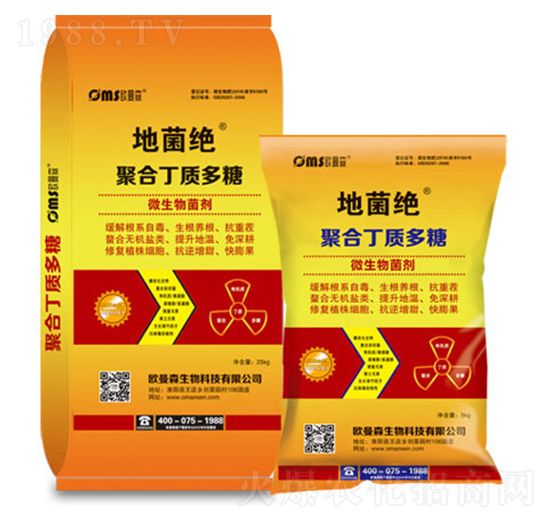 �ۺ϶��|����-�ؾ��^-�W��ɭ