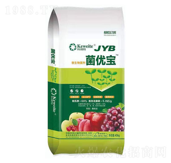 ΢�������-����(y��u)��-��΢��