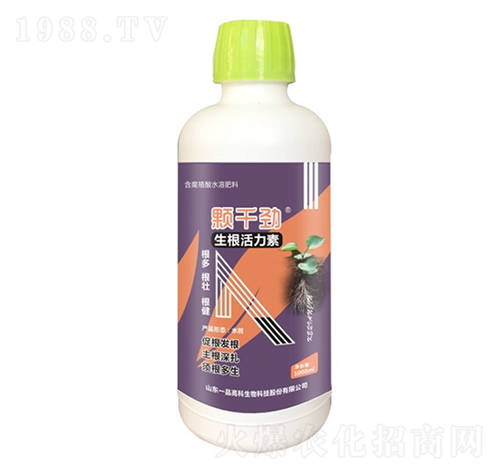 生根活力素-顆千勁-百農(nóng)思達(dá)