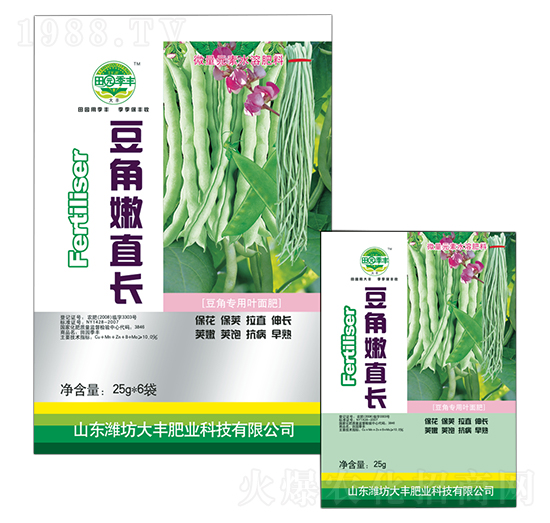 豆角嫩直長(zhǎng)-大豐肥業(yè)