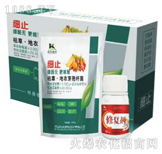 枯草·地衣芽孢桿菌-細(xì)止-柯易植保