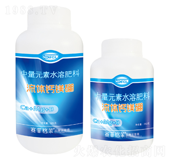 ���w�}�V��-ِ�Ƹ��R