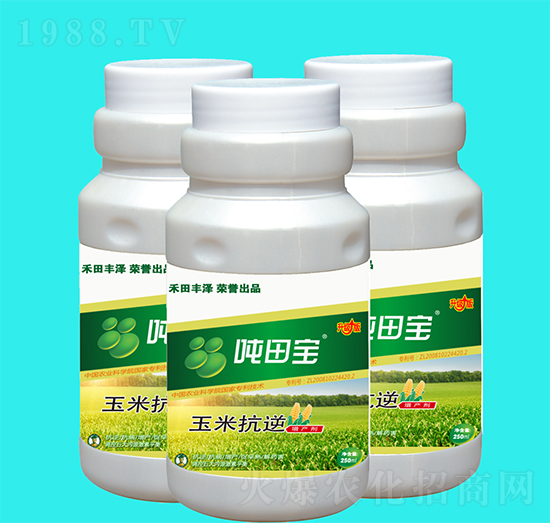 ���׿������a(ch��n)��-���-�����S��