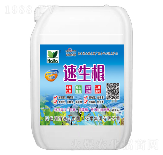 速生根-海法