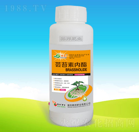 蕓苔素內酯（500g）-韓邦肥業(yè)