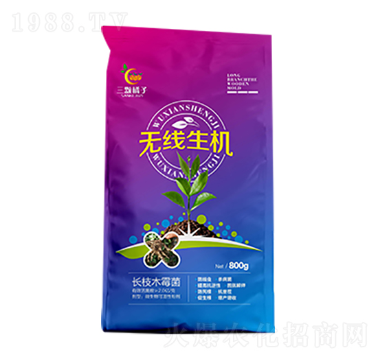 無線生機-三顆橘子