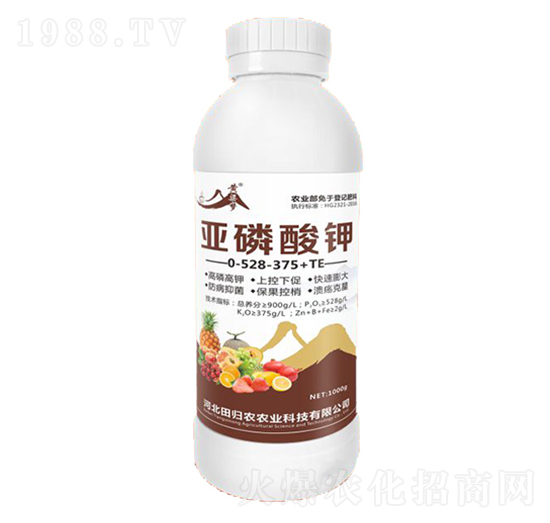 �������0-528-375+TE-�S����(m��ng)-�����r(n��ng)�I(y��)