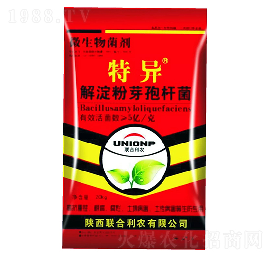 �����ѿ�ߗU��-�خ�-(li��n)�����r