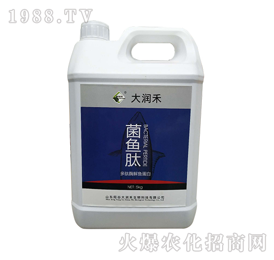 ���~��-����ø���~����-�󝙺�