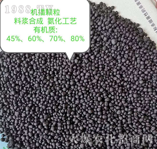 �C(j��)���w��-��˴����