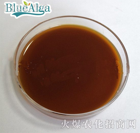 氨基寡糖素（液體）-藍寶海洋