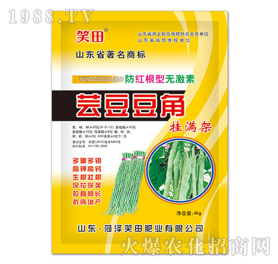 蕓豆豆角掛滿(mǎn)架-笑田